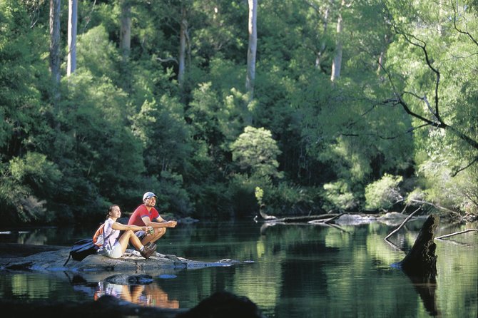 4 Day Tour: Albany, Margaret River, Valley of the Giants Treetop Walk From Perth - Day 4: Margaret River Back to Perth