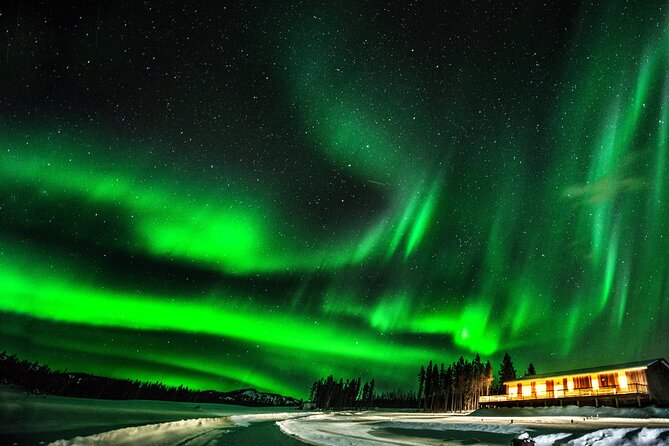 4 Day Tour in Aurora Cabin From Whitehorse - Transportation Arrangements