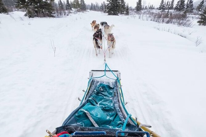 4 Day Tour in Aurora Cabin From Whitehorse - Exclusions and Gratuities