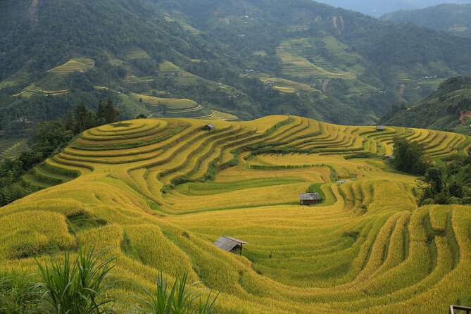 4-Day Tour in Ha Giang Loop With Professional Guide - Bike and Gear Provided
