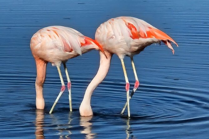 4-Day Tour in San Pedro De Atacama - Day 1 Excursions
