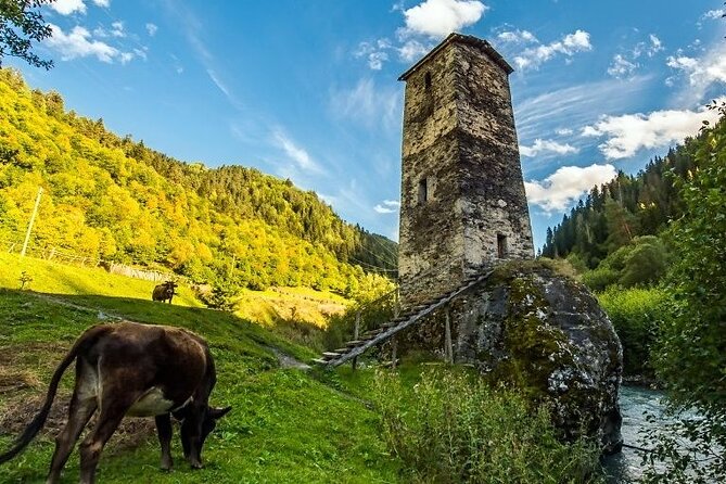 4-Day Tour in Svaneti - Mestia/Ushguli - Sharing Experiences