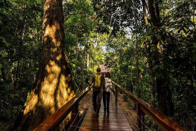 4 Day Tour in Tambopata National Reserve - Key Points