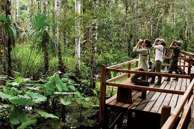 4 Day Tour in Tambopata National Reserve - Pricing and Inclusions
