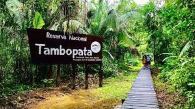 4-Day Tour of the Tambopata National Reserve - Activities and Excursions