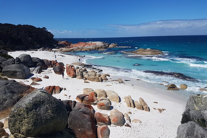 4 Day Tour Through Wild Tasmania - Pricing and Availability