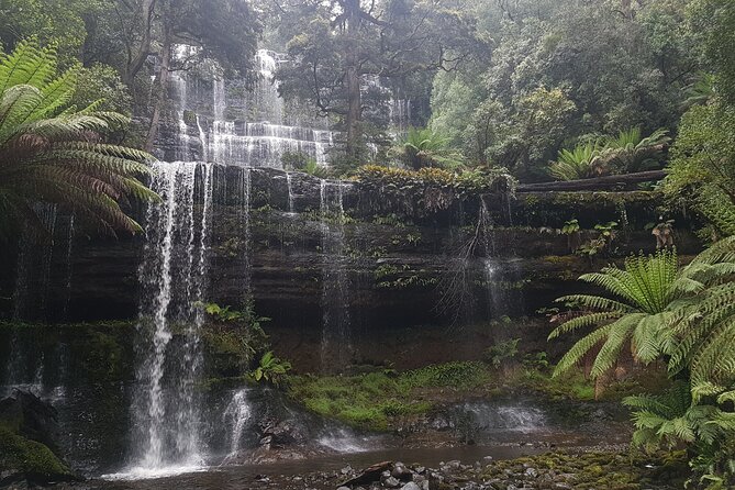 4 Day Tour Through Wild Tasmania - Exploring Cradle Mountain