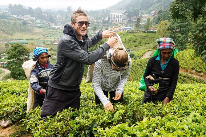 4 Day Tour to Kandy Nuwara Eliya Ella & Udawalawe Safari From Negombo - Pickup and Meeting Details