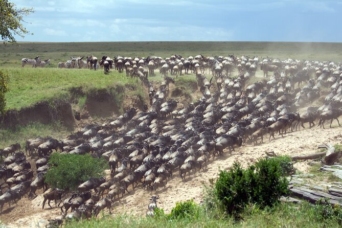 4-Day Tour to Tarangire, Serengeti and Ngorongoro - Key Points