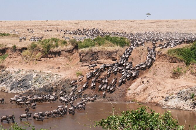 4-Day Tour to Tarangire, Serengeti and Ngorongoro - Accommodation Details