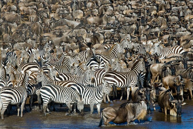 4-Day Tour to Tarangire, Serengeti and Ngorongoro - Transportation Overview
