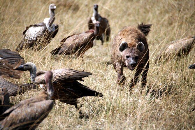 4-Day Tour to Tarangire, Serengeti and Ngorongoro - Meeting Point