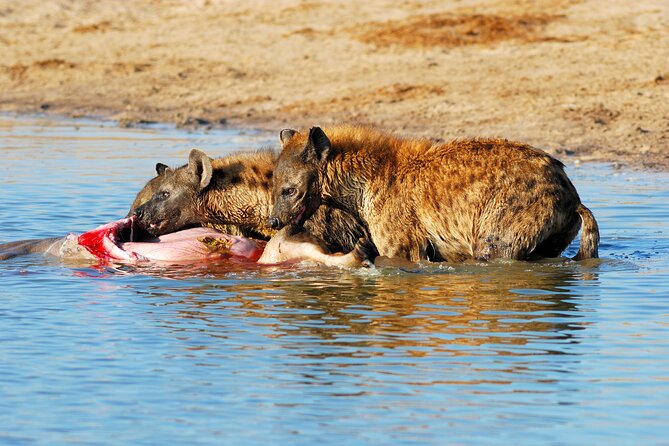 4-Day Tour to Tarangire, Serengeti and Ngorongoro - Accessibility Features
