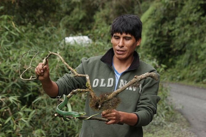 4 Day Tour to the Manu National Park - Day 1: Cusco to Cloud Forest