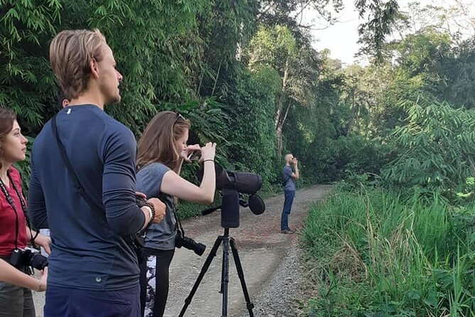 4 Day Tour to the Manu National Park - Day 2: Amazon Harpy Lodge