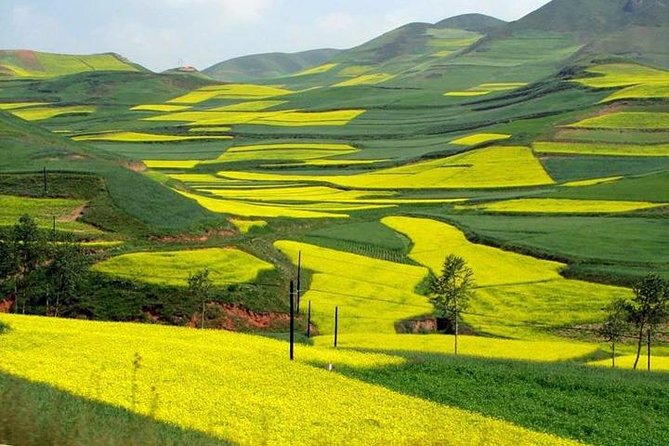 4-Day Tour to Yangshuo Li River Cruise & Longsheng Rice Terraces - Tour Inclusions
