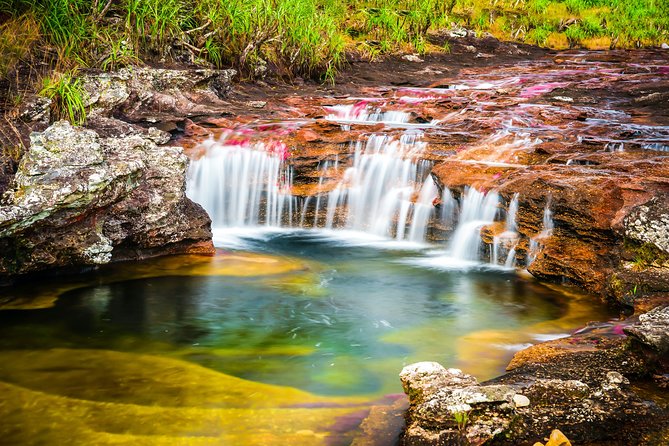 4-Day Trip to Caño Cristales (the River of Many Colors) and the Jungle - Guided Tour Experiences