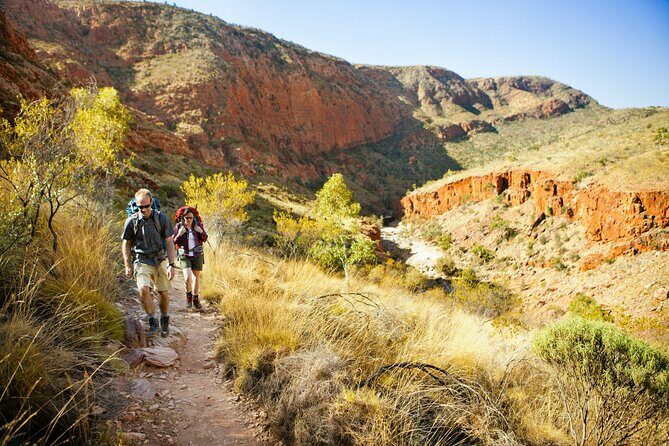 4 Day Uluru Kata Tjuta Kings Canyon West MacDonnell ex.Ayers Rock - The Sum Up