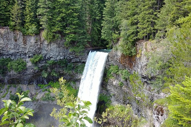 4 Day Vancouver, Victoria & Whistler Private Tour - Group Requirements