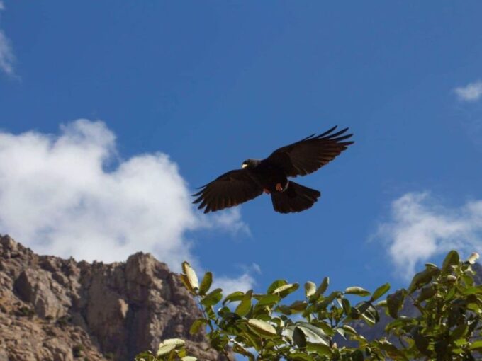 4 Day Visiting the Berber Village - Getting to the Village