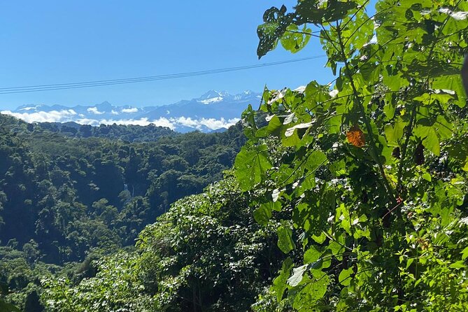 4-Day Walking Tour to Lost City of Sierra Nevada - Hike Through Jungle