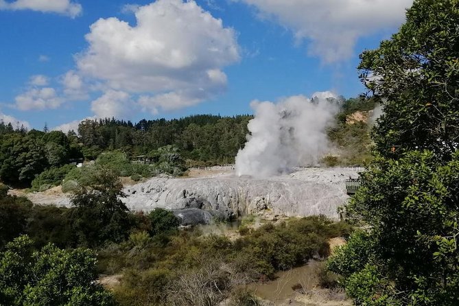 4-Day Wellington to Auckland via Rotorua Tour - Itinerary Details
