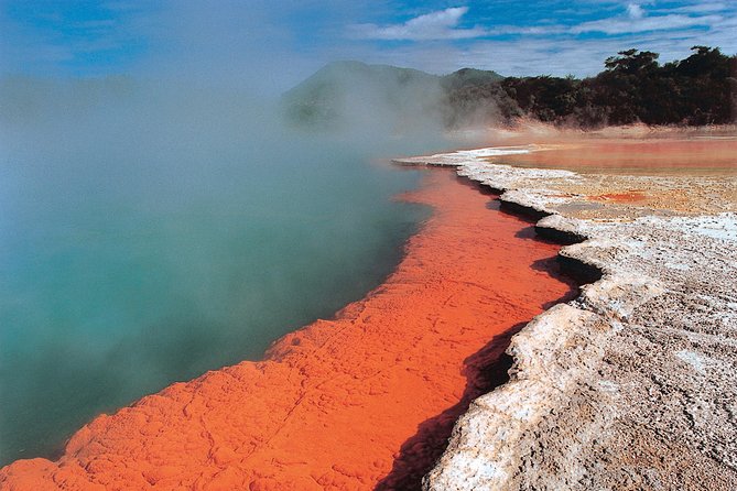 4-Day Wellington to Auckland via Rotorua Tour - Traveler Feedback