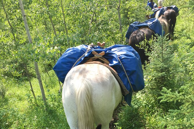 4 Day West Range Cabin Vacations in the Alberta Rocky Mountains - Meeting and Pickup Details