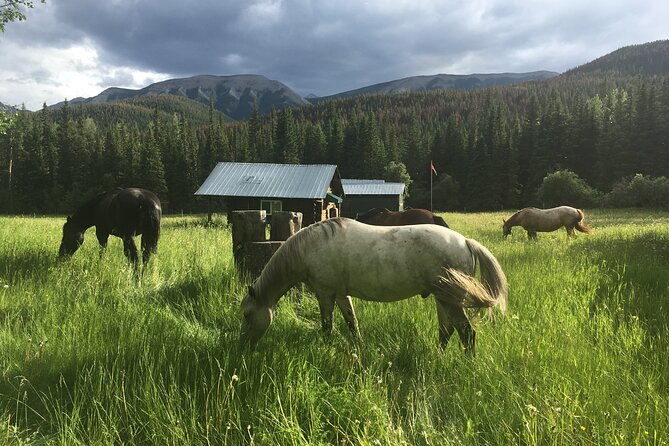 4 Day West Range Cabin Vacations in the Alberta Rocky Mountains - Physical Fitness Requirement