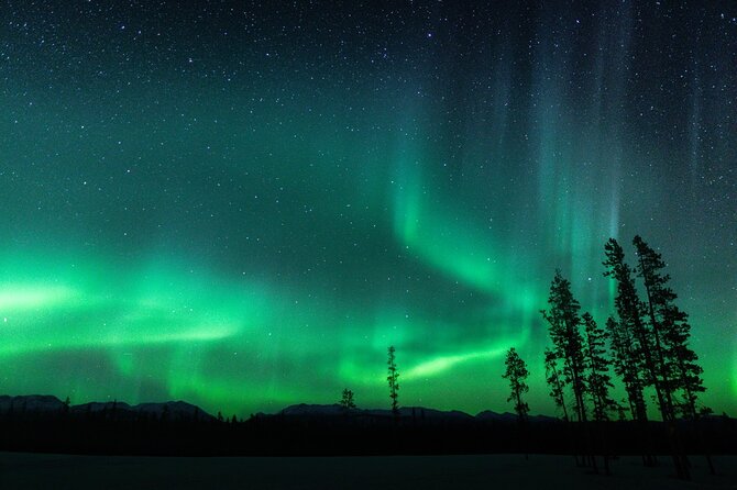 4-Day Whitehorse Northern Lights Tour With Roundtrip Tickets From Vancouver - Northern Lights Sighting