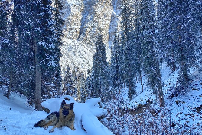 4 Day Winter Adventure Around Issyk Kul Lake - Pricing and Cancellation Policies