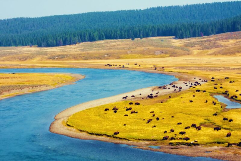 4-Day Winter Yellowstone Tour - Exclusions