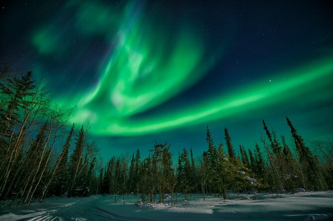 4-Day Yellowknife Aurora Tour - Overview of the Tour