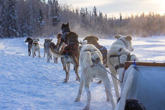 4-Day Yellowknife Aurora Tour - Start Time and Group Size