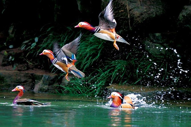 4-Day Zhangjiajie Tour to All Highlight Attractions With VIP Lift - Booking Process and Requirements