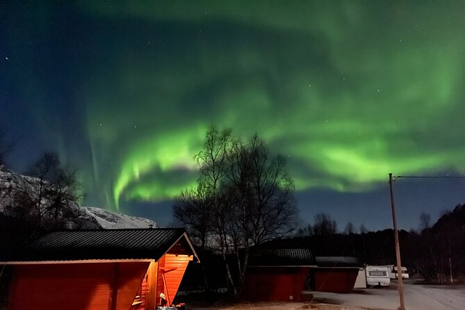 4 Days, 3 Countries Tour: Northern Lights and Moose - Transportation and Accessibility