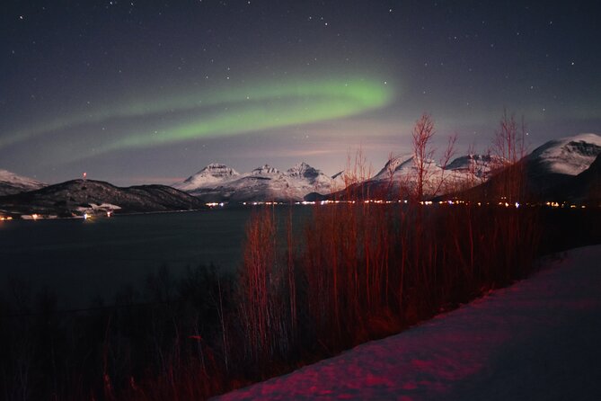 4 Days, 3 Countries Tour: Northern Lights and Moose - Customer Reviews