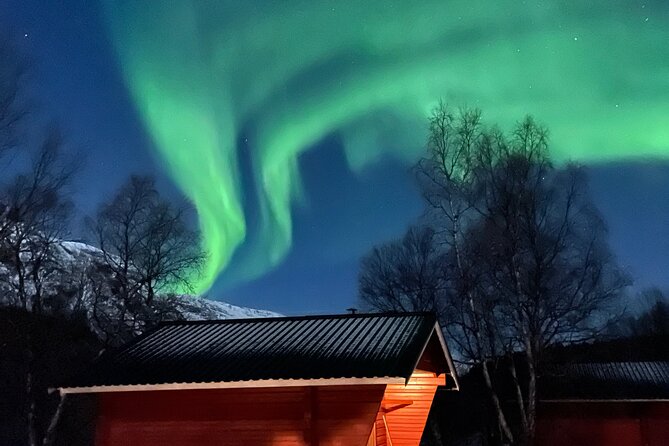 4 Days, 3 Countries Tour: Northern Lights and Moose - Contact Information