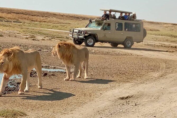 4 Days, 3 Nights Group Budget Safari, Lake Manyara, Serengeti, Ngorongoro - Cultural Immersion Experience