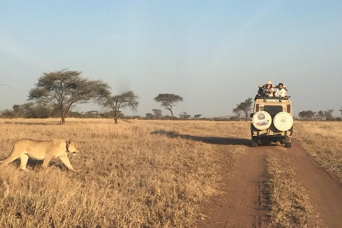 4 Days, 3 Nights Group Budget Safari, Lake Manyara, Serengeti, Ngorongoro - Pre-trip Planning and Requirements