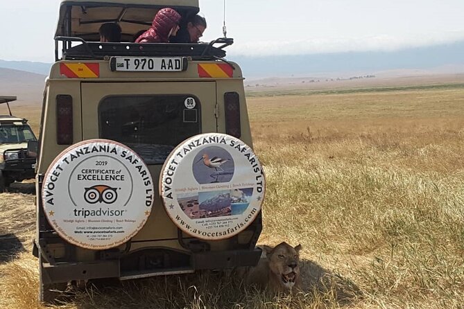 4 Days, 3 Nights Group Budget Safari, Lake Manyara, Serengeti, Ngorongoro - Safety and Accessibility Considerations