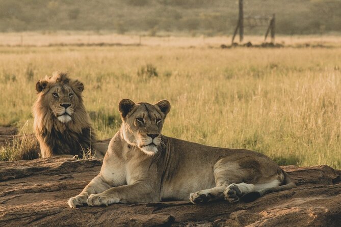 4 Days, 3 Nights Group Budget Safari, Lake Manyara, Serengeti, Ngorongoro - Booking and Payment Information