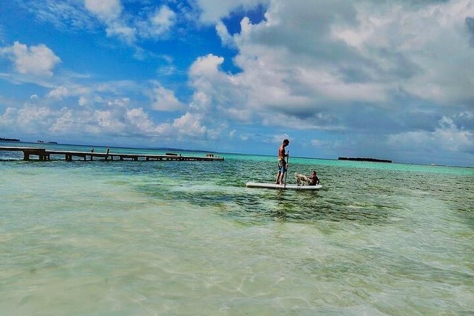 4 Days / 3 Nights in San Blas With Trip to Remote Cayos Holandeses + Boat Tour - Day 4: Departure and Optional Tour