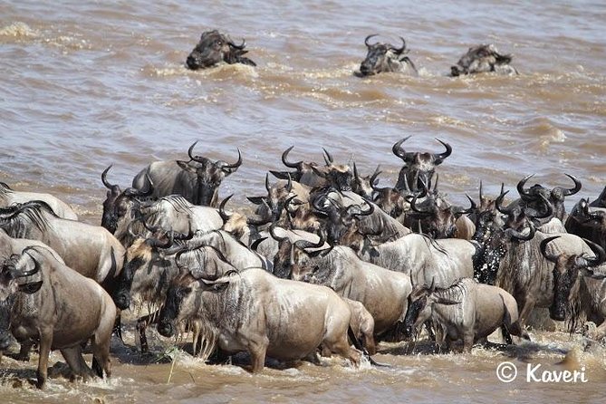 4 Days / 3 Nights Lake Manyara, Ngorongoro and Serengeti - Traveler Information