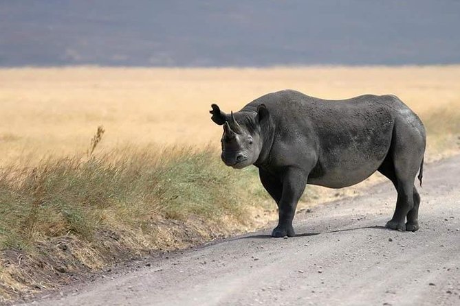 4 Days / 3 Nights Lake Manyara, Ngorongoro and Serengeti - Cancellation Policy