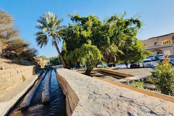 4 Days 3 Nights Package Oman Private Tour - Transportation and Guide