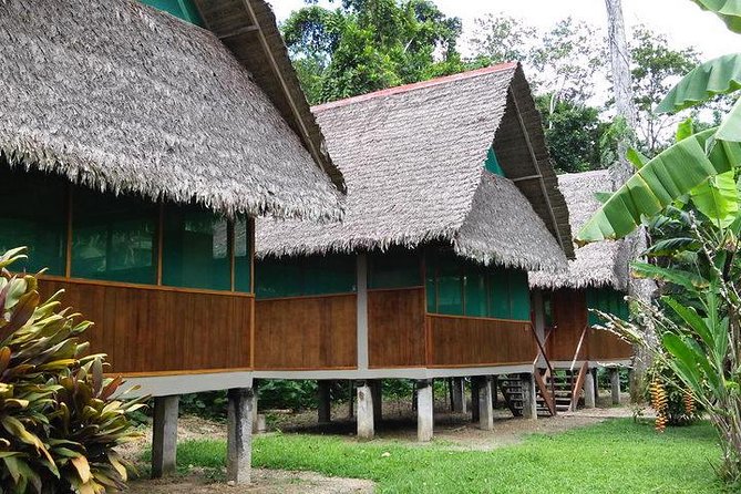 4 Days 3 Nights – Peruvian Tambopata Jungle - Wildlife Spotting Opportunities