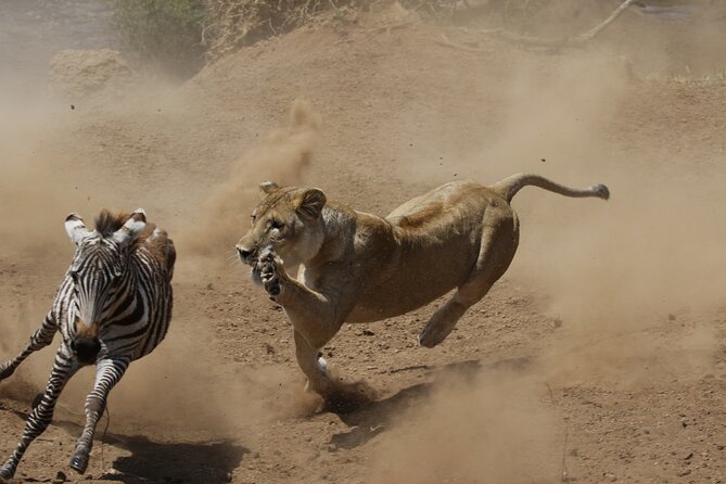 4 Days 3 Nights Safari- Tarangire, Serengeti and Ngorongoro Crater - Pricing and Cancellation