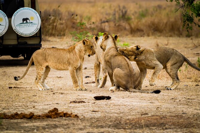 4 Days 3 Nights Safari to Mikumi National Park - Cuisine and Dining Experiences