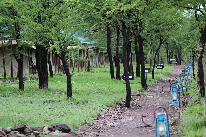 4 Days 3 Nights Tanzanian Budget Safari Tour - Itinerary